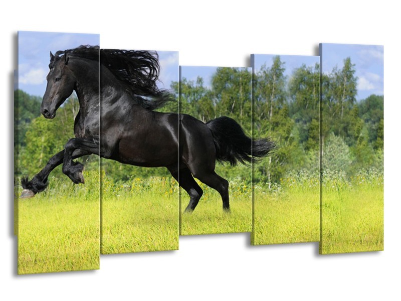 Canvas Schilderij Paard, Dieren | Zwart, Groen | 150x80cm 5Luik