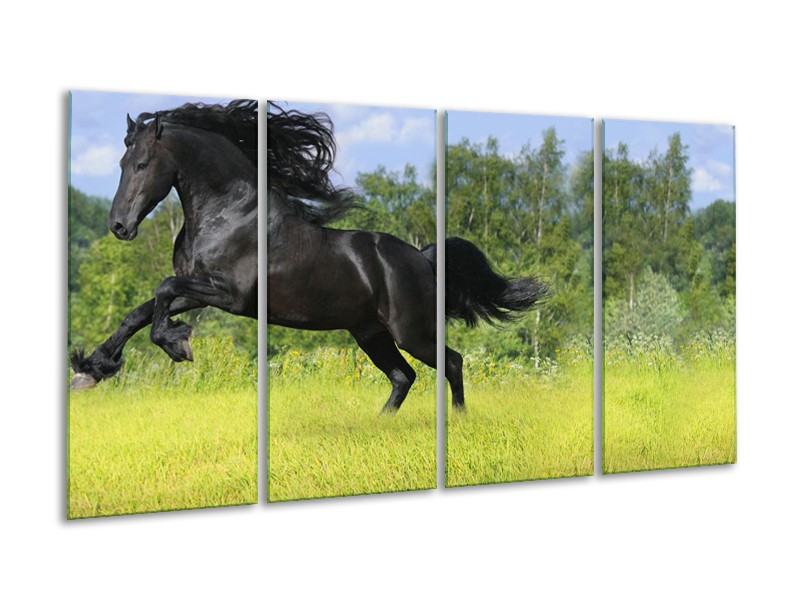 Glasschilderij Paard, Dieren | Zwart, Groen | 160x80cm 4Luik