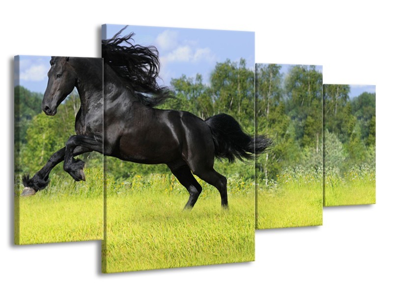 Canvas Schilderij Paard, Dieren | Zwart, Groen | 160x90cm 4Luik