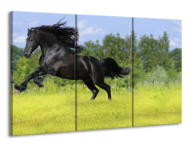 Canvas Schilderij Paard, Dieren | Zwart, Groen | 165x100cm 3Luik