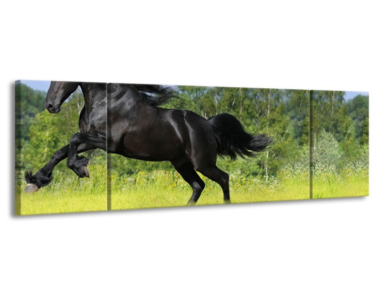 Canvas Schilderij Paard, Dieren | Zwart, Groen | 170x50cm 3Luik