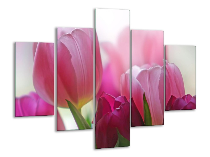 Canvas Schilderij Tulpen, Bloemen | Roze, Paars | 100x70cm 5Luik