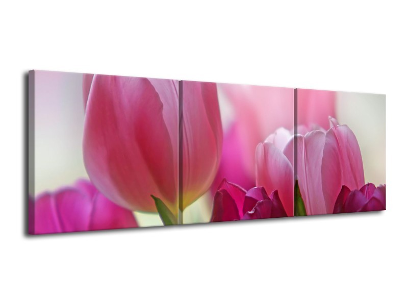 Canvas Schilderij Tulpen, Bloemen | Roze, Paars | 120x40cm 3Luik