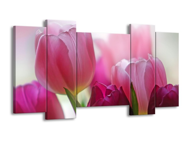 Canvas Schilderij Tulpen, Bloemen | Roze, Paars | 120x65cm 5Luik