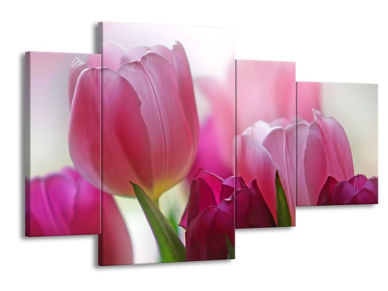 Glasschilderij Tulpen, Bloemen | Roze, Paars | 120x75cm 4Luik