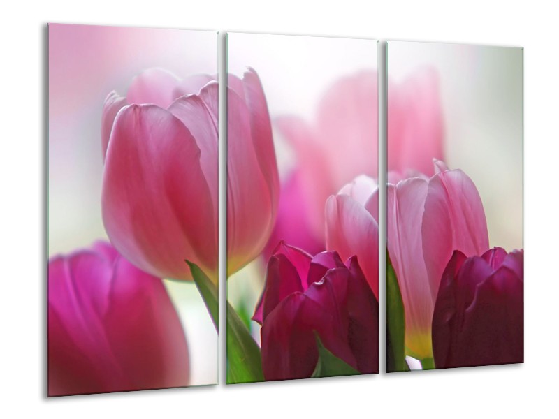 Canvas Schilderij Tulpen, Bloemen | Roze, Paars | 120x80cm 3Luik