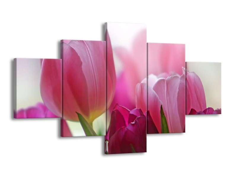 Glasschilderij Tulpen, Bloemen | Roze, Paars | 125x70cm 5Luik