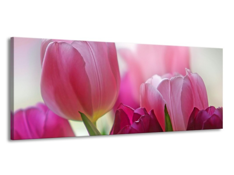 Canvas Schilderij Tulpen, Bloemen | Roze, Paars | 145x58cm 1Luik