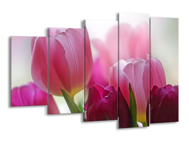 Canvas Schilderij Tulpen, Bloemen | Roze, Paars | 150x100cm 5Luik