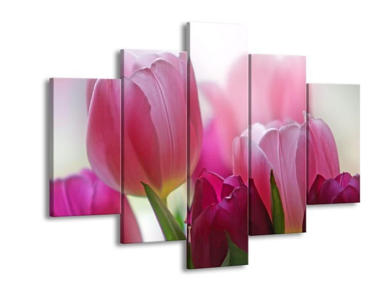 Canvas Schilderij Tulpen, Bloemen | Roze, Paars | 150x105cm 5Luik
