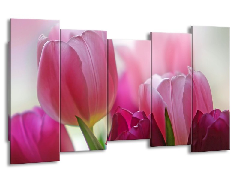 Canvas Schilderij Tulpen, Bloemen | Roze, Paars | 150x80cm 5Luik