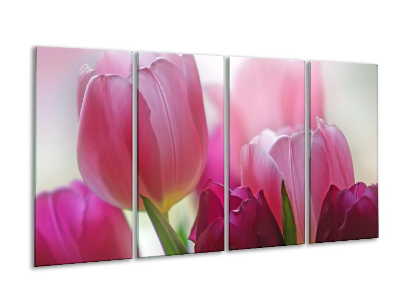 Glasschilderij Tulpen, Bloemen | Roze, Paars | 160x80cm 4Luik