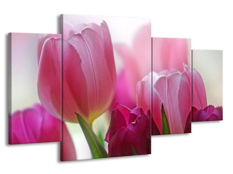 Glasschilderij Tulpen, Bloemen | Roze, Paars | 160x90cm 4Luik