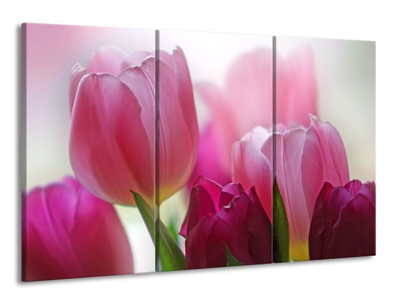 Canvas Schilderij Tulpen, Bloemen | Roze, Paars | 165x100cm 3Luik