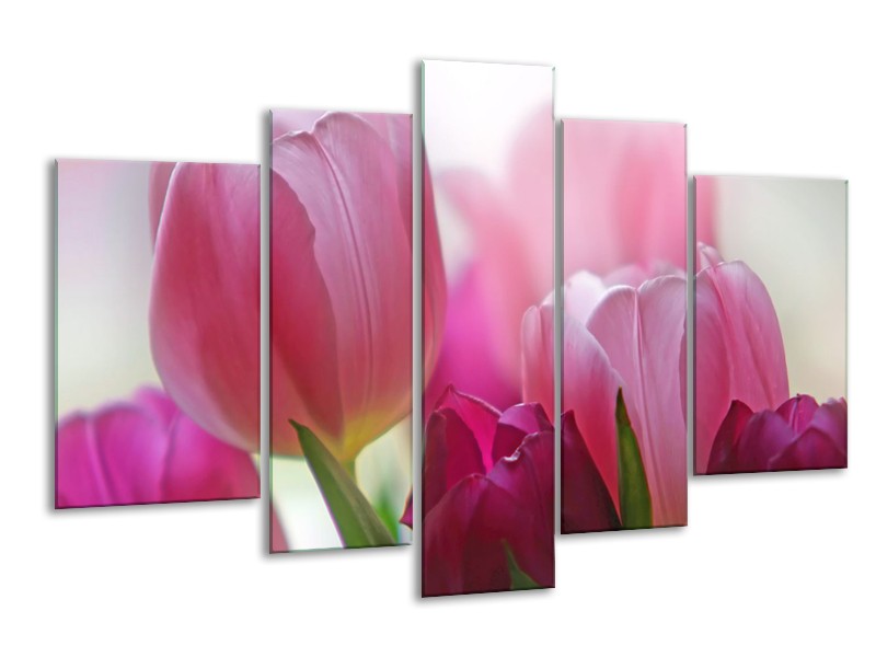 Glasschilderij Tulpen, Bloemen | Roze, Paars | 170x100cm 5Luik