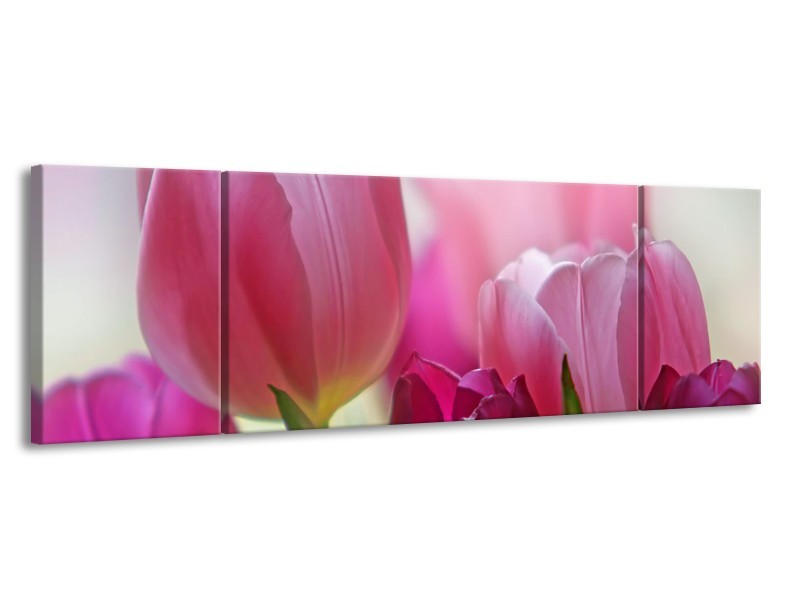 Canvas Schilderij Tulpen, Bloemen | Roze, Paars | 170x50cm 3Luik