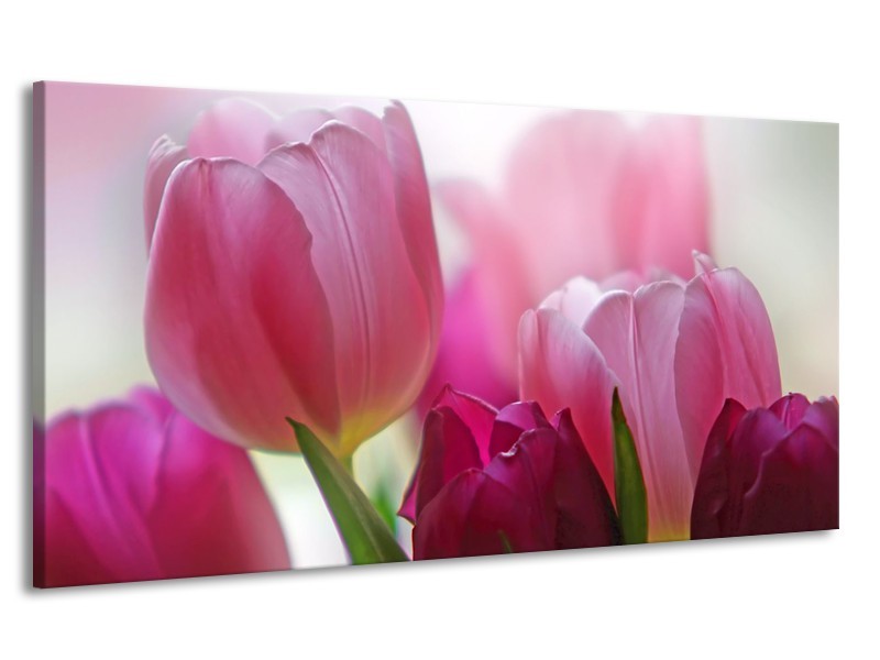Canvas Schilderij Tulpen, Bloemen | Roze, Paars | 170x90cm 1Luik