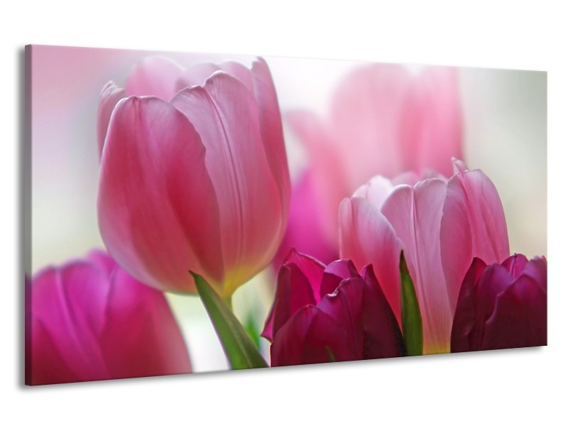 Canvas Schilderij Tulpen, Bloemen | Roze, Paars | 190x100cm 1Luik