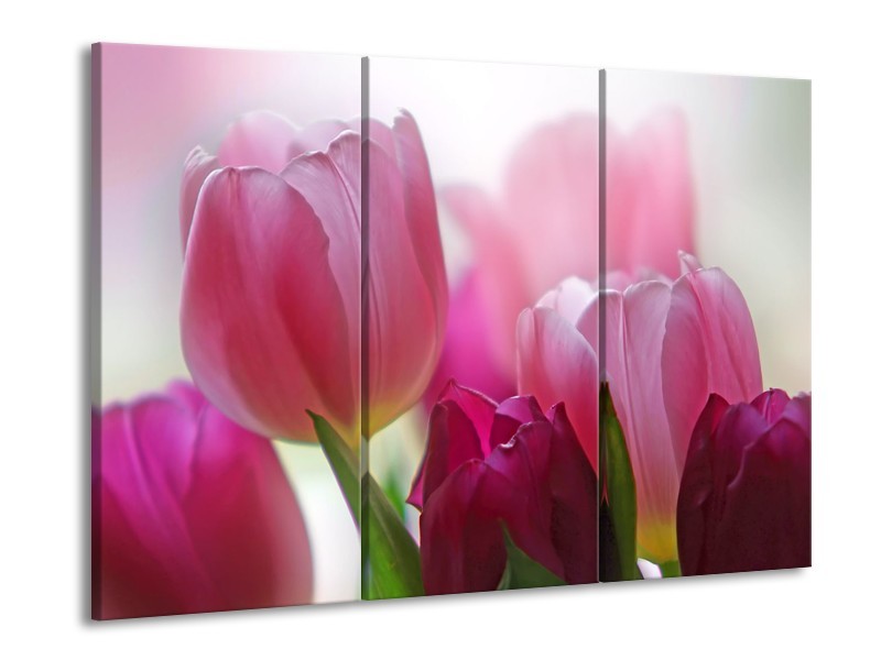 Canvas Schilderij Tulpen, Bloemen | Roze, Paars | 60x90cm 3Luik