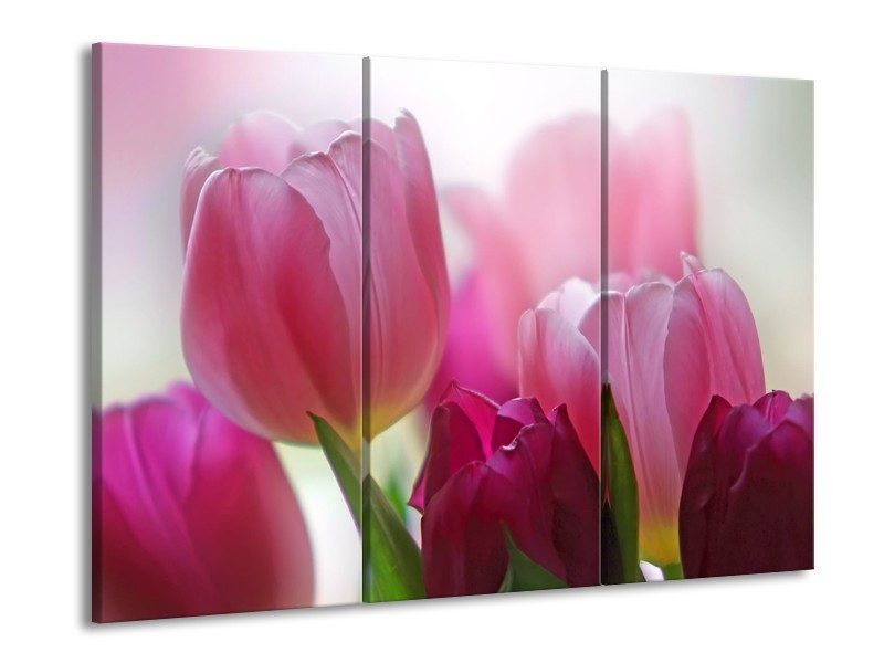 Glasschilderij Tulpen, Bloemen | Roze, Paars | 60x90cm 3Luik