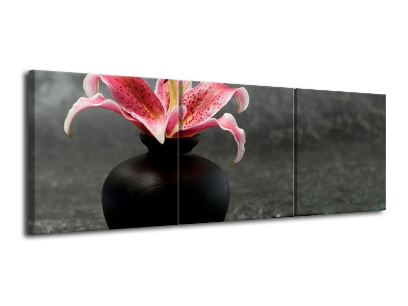 Canvas Schilderij Bloem, Modern | Zwart, Roze, Grijs | 120x40cm 3Luik