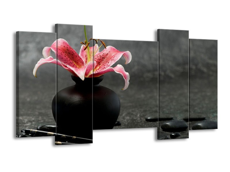 Glasschilderij Bloem, Modern | Zwart, Roze, Grijs | 120x65cm 5Luik