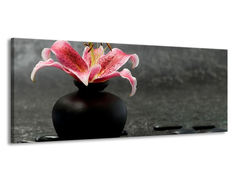 Glasschilderij Bloem, Modern | Zwart, Roze, Grijs | 145x58cm 1Luik