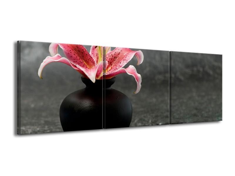 Canvas Schilderij Bloem, Modern | Zwart, Roze, Grijs | 150x50cm 3Luik