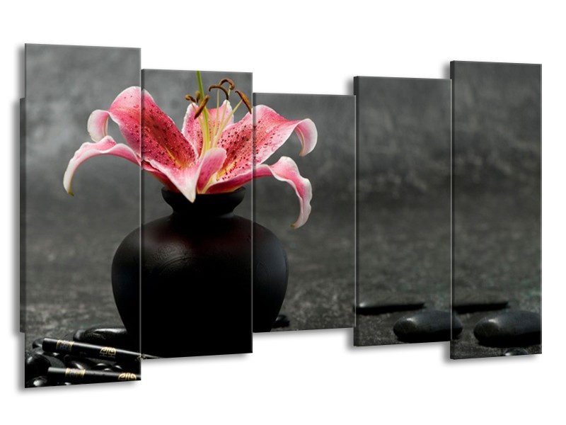 Glasschilderij Bloem, Modern | Zwart, Roze, Grijs | 150x80cm 5Luik