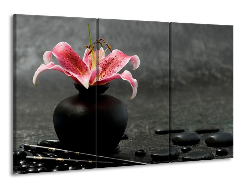 Glasschilderij Bloem, Modern | Zwart, Roze, Grijs | 165x100cm 3Luik