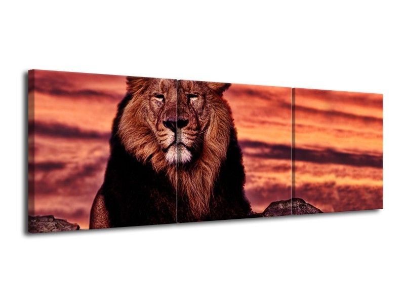 Canvas Schilderij Wilde Dieren | Oranje, Bruin | 120x40cm 3Luik