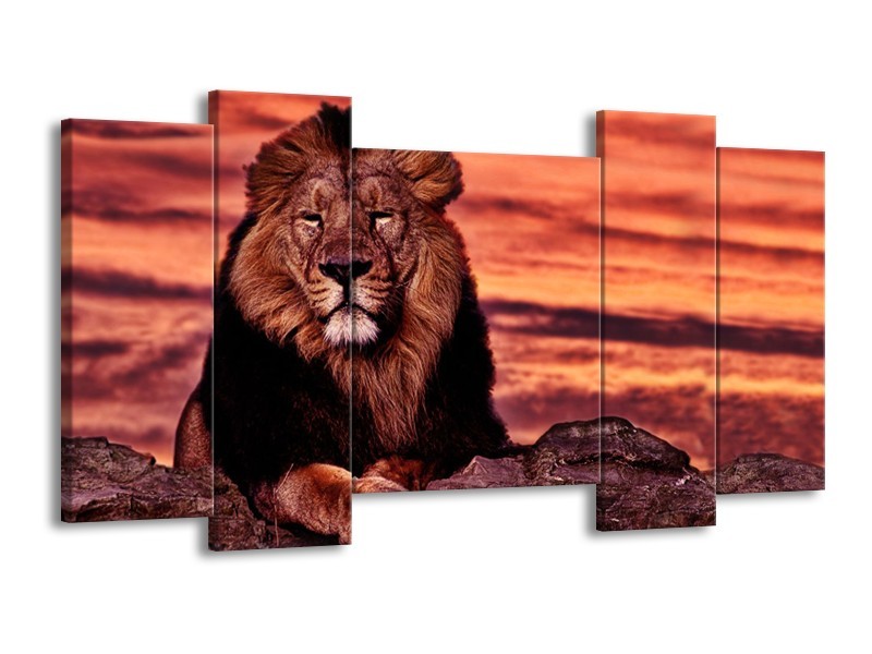 Canvas Schilderij Wilde Dieren | Oranje, Bruin | 120x65cm 5Luik