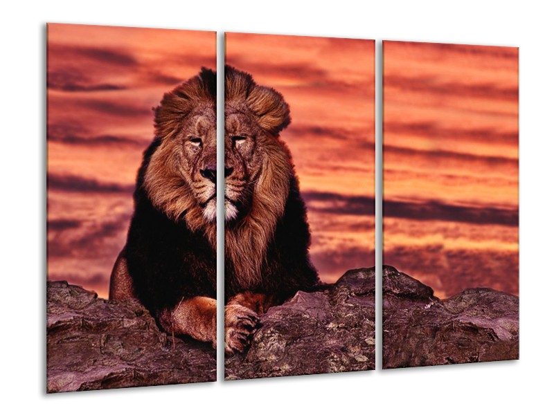 Canvas Schilderij Wilde Dieren | Oranje, Bruin | 120x80cm 3Luik