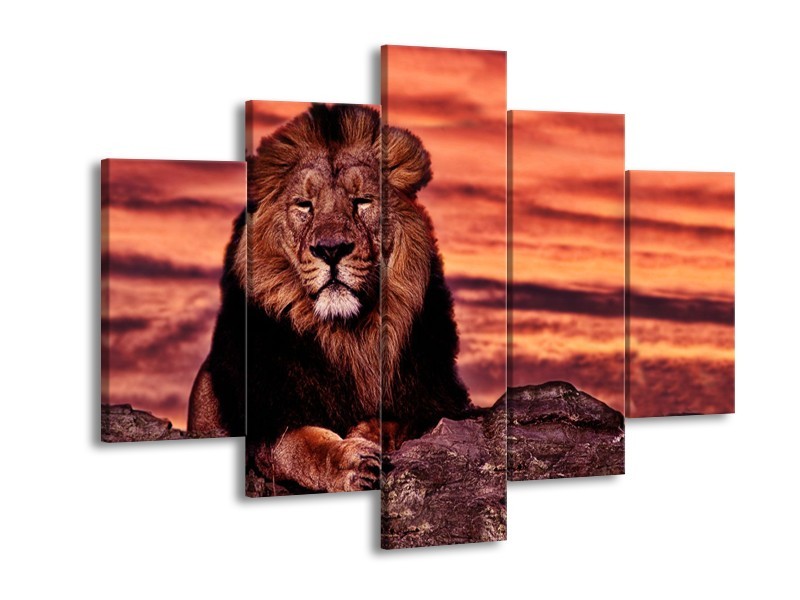 Glasschilderij Wilde Dieren | Oranje, Bruin | 150x105cm 5Luik