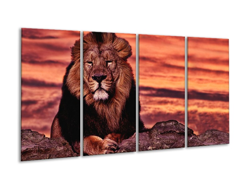 Glasschilderij Wilde Dieren | Oranje, Bruin | 160x80cm 4Luik