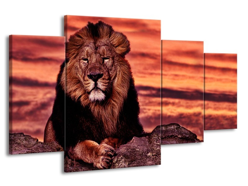 Canvas Schilderij Wilde Dieren | Oranje, Bruin | 160x90cm 4Luik