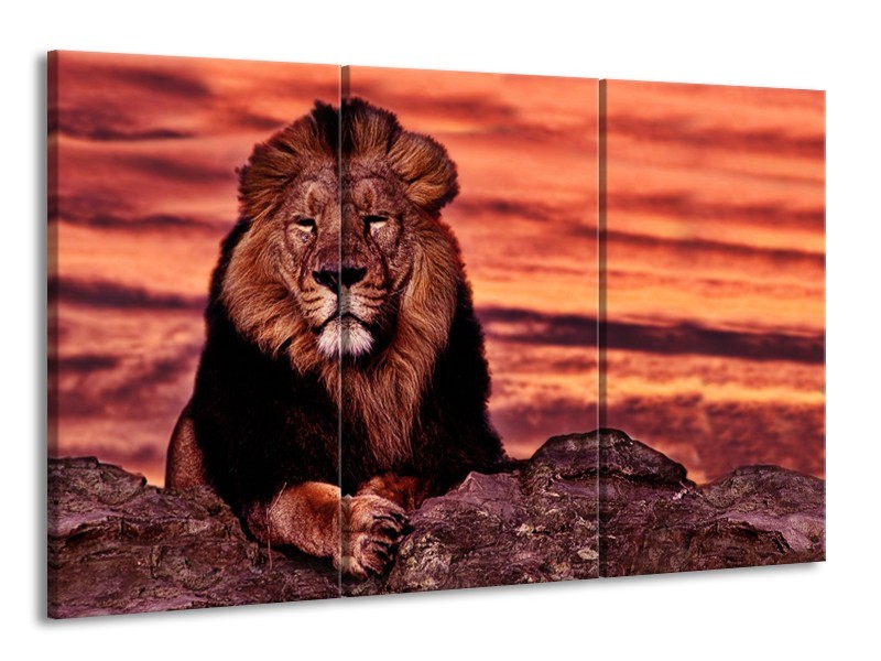 Glasschilderij Wilde Dieren | Oranje, Bruin | 165x100cm 3Luik