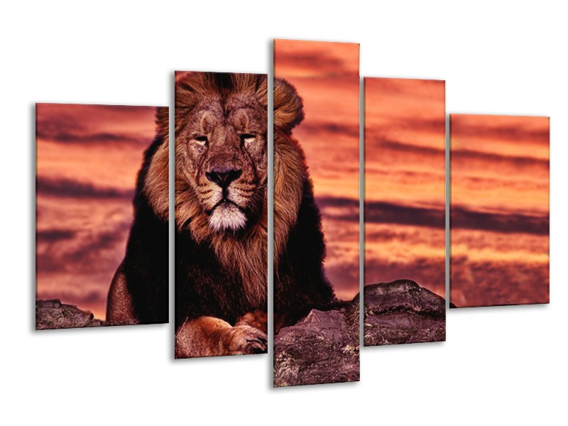 Glasschilderij Wilde Dieren | Oranje, Bruin | 170x100cm 5Luik