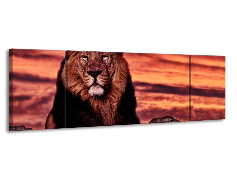 Canvas Schilderij Wilde Dieren | Oranje, Bruin | 170x50cm 3Luik