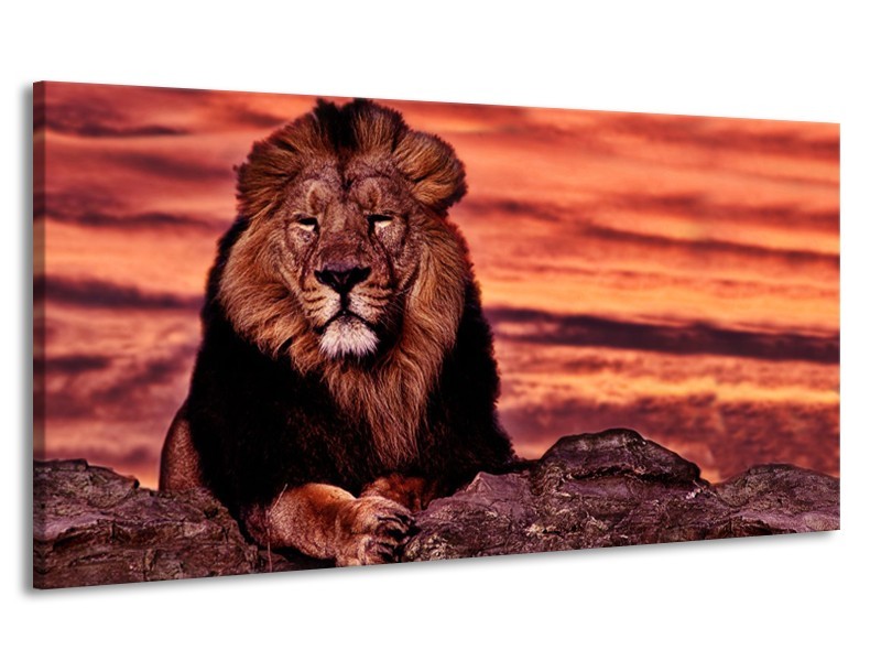 Canvas Schilderij Wilde Dieren | Oranje, Bruin | 170x90cm 1Luik