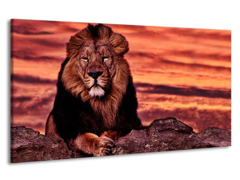 Canvas Schilderij Wilde Dieren | Oranje, Bruin | 190x100cm 1Luik