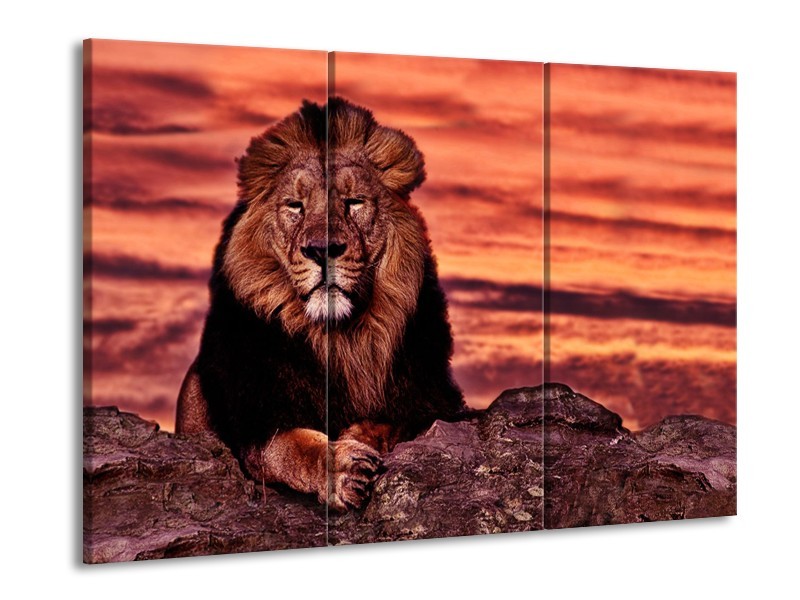 Glasschilderij Wilde Dieren | Oranje, Bruin | 60x90cm 3Luik