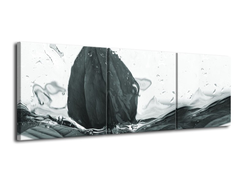 Glasschilderij Bloem | Grijs, Wit | 120x40cm 3Luik