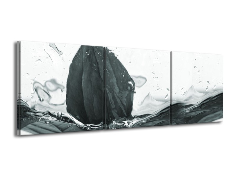 Glasschilderij Bloem | Grijs, Wit | 150x50cm 3Luik