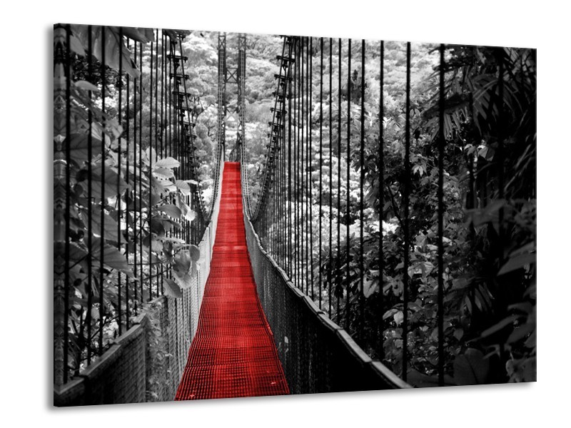 Glasschilderij Natuur, Brug | Zwart, Wit, Rood | 100x70cm 1Luik