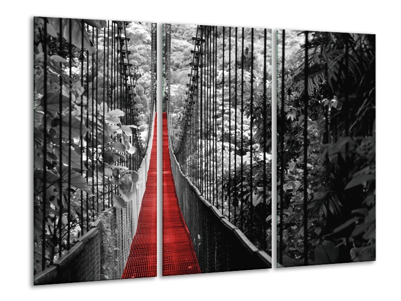 Canvas Schilderij Natuur, Brug | Zwart, Wit, Rood | 120x80cm 3Luik