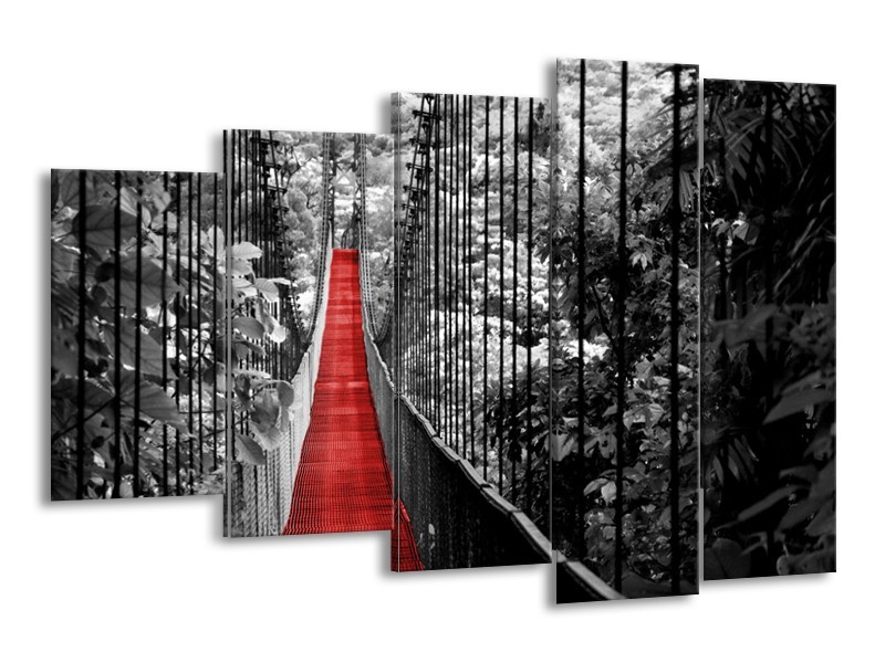 Glasschilderij Natuur, Brug | Zwart, Wit, Rood | 150x100cm 5Luik