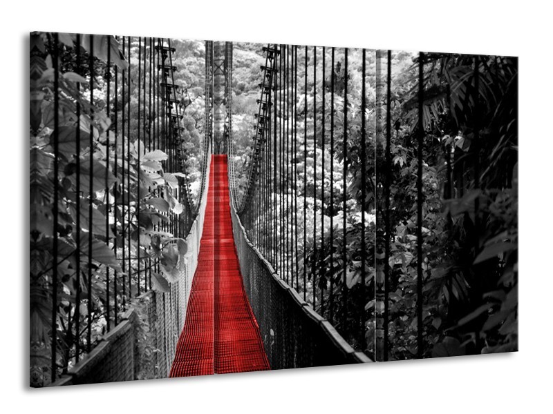 Glasschilderij Natuur, Brug | Zwart, Wit, Rood | 165x100cm 3Luik