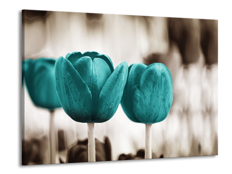 Glasschilderij Tulpen, Bloemen | Turquoise, Sepia | 100x70cm 1Luik