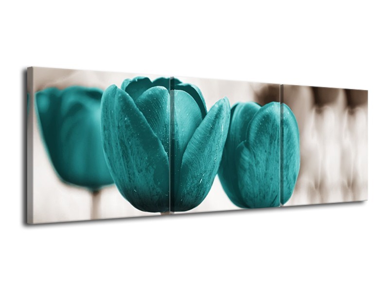 Glasschilderij Tulpen, Bloemen | Turquoise, Sepia | 120x40cm 3Luik